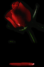 bon debut de semaine a tous